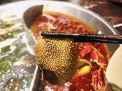 -晓宇重庆火锅(赛格国际购物中心店)
