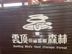 -亚龙湾热带天堂森林公园