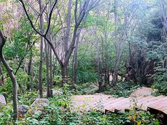 -大岭沟猕猴桃谷风景区