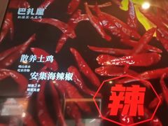 -巴扎屋大盘鸡·新疆菜(汇嘉时代店)