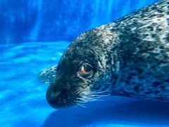 -成都浩海立方海洋公园