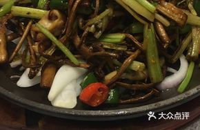 Seafood Tea Tree Mushroom