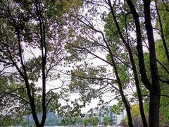 -美兰湖景区
