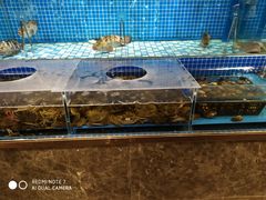 -蓝钻·国际美食海鲜自助百汇(西直门店)