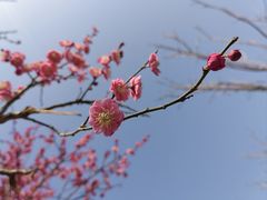 -广富林郊野公园