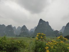 -明仕田园