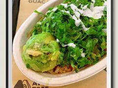 -油梨树 AVOCADO TREE(亮马桥店)