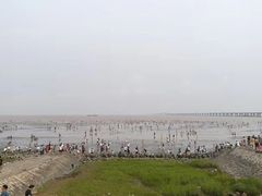 -南汇嘴观海公园