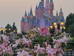 -上海迪士尼度假区