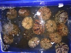 -QQ海鲜餐厅