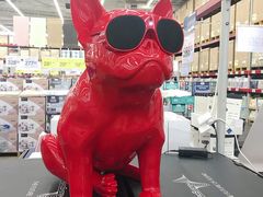 -山姆会员商店(杨桥西路店)