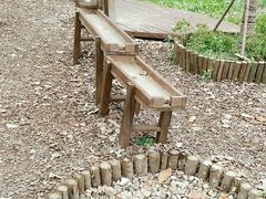 -合肥滨湖国家森林公园