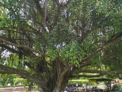 -侯臣咖啡文化村