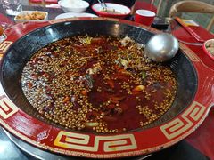 -烧哥美蛙肥肠鱼火锅·十五年社区店
