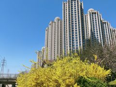 -马栏河运动公园