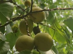 -长春公园(普阳街道)