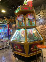 -卡通尼·Safari非洲探索乐园·生日会(金桥国际商业广场店)