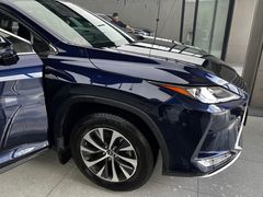 -跃通XPEL超级旗舰店(浦东店)