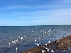 -青海湖国家重点风景名胜区