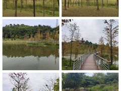 -东莞植物园