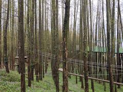 -山王坪喀斯特国家生态公园