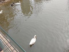 -长白岛森林公园