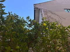 -Osteria Garden 生蚝花园餐厅(原进贤路店)
