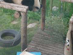 -大连森林动物园