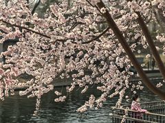 -安定门(地铁站)