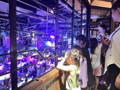 -胡桃里音乐酒馆(白云五号T5 MALL店)