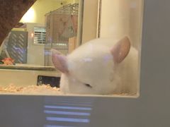 -龙猫仔乐园(惠福东路店)