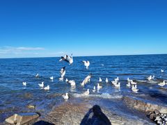 -青海湖国家重点风景名胜区
