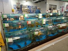 -AEON永旺(东方宝泰店)