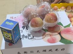 -老袁家蜜桃农场·阳山水蜜桃