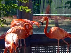 -石家庄市动物园