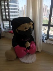 -E.L.K造型momopark店