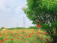 -上海杨姆庄园