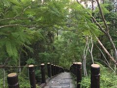 -田心森林公园