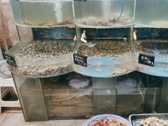 -鑫渔港海鲜本地菜·山海关浑锅(东戴河店)