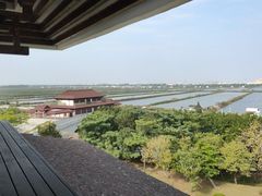 -大湾区中央湿地公园