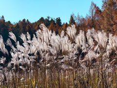 -山王坪喀斯特国家生态公园