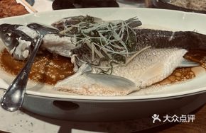 Lean Carp Dish