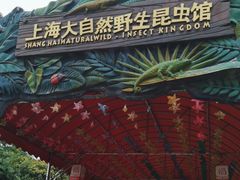 -上海大自然野生昆虫馆(东方明珠·爬宠昆虫探索中心)