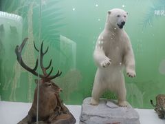 -国家自然博物馆