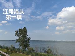 -江滩湿地公园