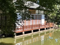 -新洲生态园