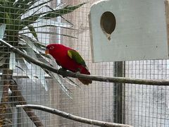 -大连森林动物园