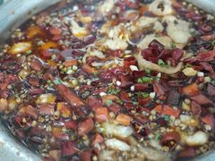 招牌水煮鱼-文记四川鱼馆(小纬北路店)