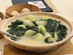 浓汤白菜籽-利苑酒家(合景国际金融广场店)
