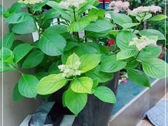 -T-COFFEE(长江花园店)